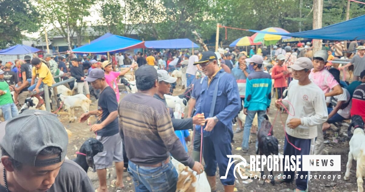 Kepala Bidang Kesehatan Hewan dan Kesehatan Masyarakat Veteriner Disperta Kabupaten Probolinggo drh Nikolas Nuryulianto bersama Petugas Teknis Kecamatan Maron dan petugas Rumah Potong Hewan (RPH) Maron.