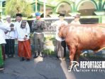 Tahun ini, Masjid Agung Ar-Raudlah Kota Kraksaan Terima Hewan Kurban dari Gubernur Jatim