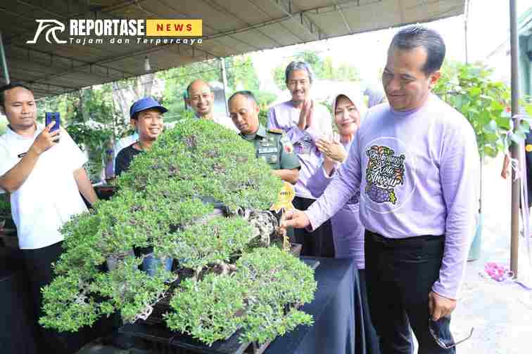 kontestan tabulampot anggur yang berasal dari petani lokal Probolinggo dan kontes bonsai ada 87 koleksi yang ditampilkan.