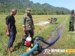Peltu Dwi Hasim As'ari, melaksanakan kegiatan pendampingan ketahanan pangan Peltu Dwi Hasim As'ari, melaksanakan kegiatan pendampingan ketahanan pangan