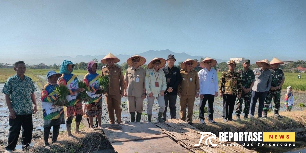 Kelompok Tani (Poktan) Tani Luhur II Desa Gending Kecamatan Gending Kabupaten Probolinggo