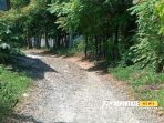Kondisi Jalan Rusak di Masalembu Jadi Sorotan Masyarakat