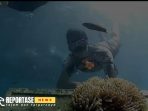 Pesona Bawah Laut Gili Labak Memukau Wisatawan Pesona Bawah Laut Gili Labak Memukau Wisatawan