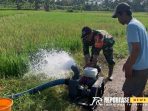 Langkah strategis untuk mendukung usaha tani berkelanjutan dengan pompanisasi