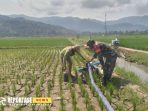 Pemanfaatan mesin pompa air bantuan dari Kementerian Pertanian Pemanfaatan mesin pompa air bantuan dari Kementerian Pertanian