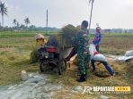 Mendampingi para petani dalam proses perontokan gabah Mendampingi para petani dalam proses perontokan gabah