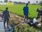Pemanfaatan mesin pompa air untuk menunjang produktivitas lahan Pemanfaatan mesin pompa air untuk menunjang produktivitas lahan
