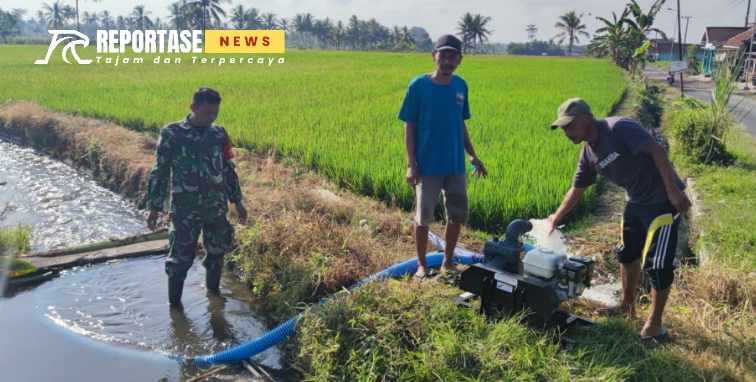 Pemanfaatan mesin pompa air untuk menunjang produktivitas lahan