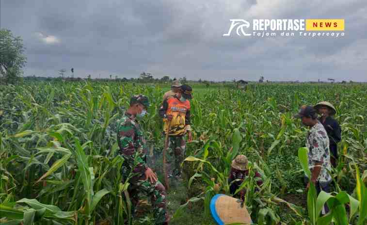 Peran serta TNI dalam kegiatan ketahanan pangan