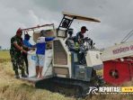 panen padi dengan menggunakan Combine Harvester untuk percepatan