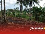 Tumpukan Tebu Layak Produksi Terbakar, Ada Apa dengan PTPN 1 Regional 5 Kebun Kalitelepak. Tumpukan Tebu Layak Produksi Terbakar, Ada Apa dengan PTPN 1 Regional 5 Kebun Kalitelepak.