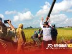 Kegiatan pengendalian Organisme Pengganggu Tanaman (OPT) di lahan Poktan Beji Jaya Kegiatan pengendalian Organisme Pengganggu Tanaman (OPT) di lahan Poktan Beji Jaya