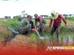 Kegiatan pendampingan pompanisasi di lahan padi