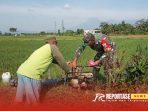 Serda Andi Purwanto, melakukan pendampingan pengairan sawah Serda Andi Purwanto, melakukan pendampingan pengairan sawah