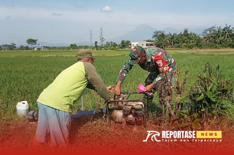 Serda Andi Purwanto, melakukan pendampingan pengairan sawah