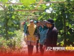 Yahyadi, program P2L mengajak masyarakat untuk aktif berpartisipasi, seperti memelihara ikan, menanam sayur atau memelihara ayam. Yahyadi, program P2L mengajak masyarakat untuk aktif berpartisipasi, seperti memelihara ikan, menanam sayur atau memelihara ayam.