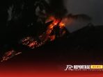 Api dengan cepat melahap pohon Siwalan dan kelapa di area tegalan Api dengan cepat melahap pohon Siwalan dan kelapa di area tegalan