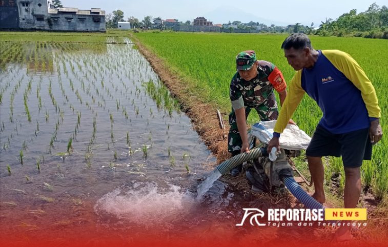 Serda Jaelani Firmansyah melaksanakan kegiatan pendampingan pompanisasi di Poktan Bayeman, Citrodiwangsan