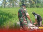 Pendampingan pengairan pada lahan pertanian