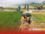 Pendampingan pertanian di lahan pertanian Pendampingan pertanian di lahan pertanian