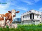 Reportase News - BPRS Sumenep Qurban
