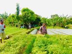 Reportase News - Nganjuk