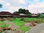 IMG-20251119-WA0009